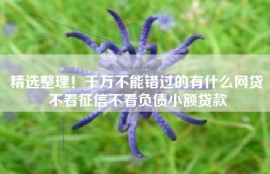 精选整理！千万不能错过的有什么网贷不看征信不看负债小额贷款