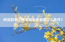 网贷做多了再申请条件需要什么条件？