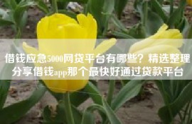 借钱应急5000网贷平台有哪些？精选整理分享借钱app那个最快好通过贷款平台