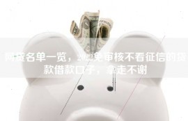 网贷名单一览，2022免审核不看征信的贷款借款口子，拿走不谢