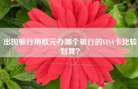 出国旅行用欧元办哪个银行的VISA卡比较划算？