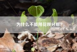 为什么不能用花呗分期？