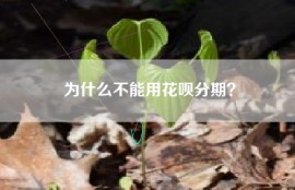 为什么不能用花呗分期？