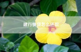 建行快贷怎么还款