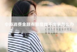 中原消费金融有额度提不出来怎么办