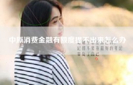 中原消费金融有额度提不出来怎么办