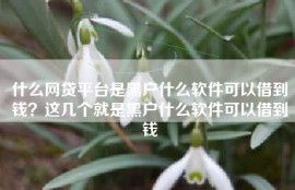 什么网贷平台是黑户什么软件可以借到钱？这几个就是黑户什么软件可以借到钱