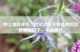 网上借钱被拒，试试这些无视逾期的贷款借款口子，不容错过