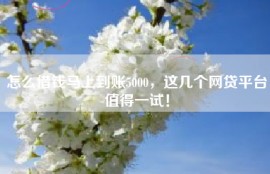 怎么借钱马上到账5000，这几个网贷平台值得一试！