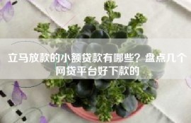 立马放款的小额贷款有哪些？盘点几个网贷平台好下款的