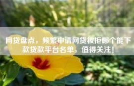 网贷盘点，频繁申请网贷被拒哪个能下款贷款平台名单，值得关注！