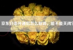 京东白条开通后怎么取消，能不能关闭？