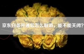 京东白条开通后怎么取消，能不能关闭？