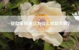 贷款审核通过为什么放款失败？