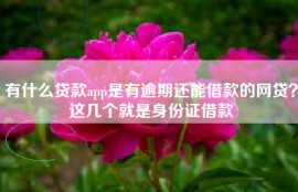 有什么贷款app是有逾期还能借款的网贷？这几个就是身份证借款
