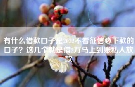 有什么借款口子是2022不看征信必下款的口子？这几个就是借2万马上到账私人放款