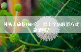 纯私人放款10000的，网上个贷联系方式靠谱吗？