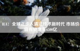 IEA：全球正步入清洁技术新时代 市场价值有望增至6500亿