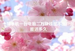 一部手机一台电脑二万块钱足不出户你能活多久
