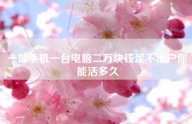 一部手机一台电脑二万块钱足不出户你能活多久
