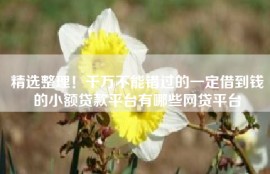 精选整理！千万不能错过的一定借到钱的小额贷款平台有哪些网贷平台