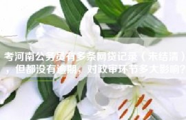 考河南公务员有多条网贷记录（未结清），但都没有逾期，对政审环节多大影响？