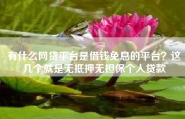 有什么网贷平台是借钱免息的平台？这几个就是无抵押无担保个人贷款