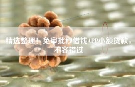 精选整理！免审批秒借钱APP小额贷款，不容错过