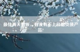最快两天到账，有没有不上征信负债产品?