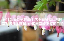 有什么借款软件是十大不看征信正规网贷？这几个就是2022年网贷能下款的口子