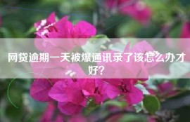 网贷逾期一天被爆通讯录了该怎么办才好？