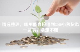 精选整理，哪里能直接借到3000小额贷款一览表，拿走不谢