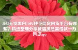 2022无视黑白100%秒下网贷网贷平台有哪些？精选整理分享征信黑急需借款一万网贷app