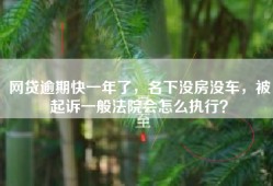 网贷逾期快一年了，名下没房没车，被起诉一般法院会怎么执行？