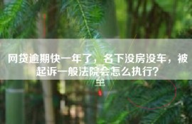 网贷逾期快一年了，名下没房没车，被起诉一般法院会怎么执行？