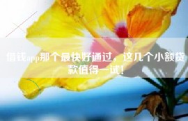借钱app那个最快好通过，这几个小额贷款值得一试！