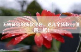 无需征信的贷款平台，这几个贷款app值得一试！