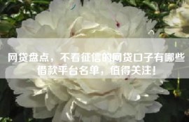 网贷盘点，不看征信的网贷口子有哪些借款平台名单，值得关注！