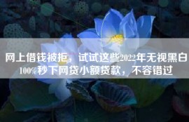 网上借钱被拒，试试这些2022年无视黑白100%秒下网贷小额贷款，不容错过