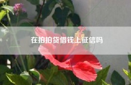 在拍拍贷借钱上征信吗