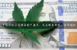 中国保险公司排名前十盘点，关注服务等级、投诉指标