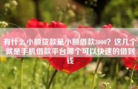 有什么小额贷款是小额借款3000？这几个就是手机借款平台哪个可以快速的借到钱