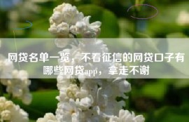 网贷名单一览，不看征信的网贷口子有哪些网贷app，拿走不谢