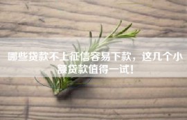 哪些贷款不上征信容易下款，这几个小额贷款值得一试！