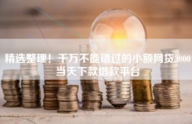 精选整理！千万不能错过的小额网贷3000当天下款借款平台
