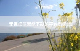 无视征信黑能下款的平台有哪些?