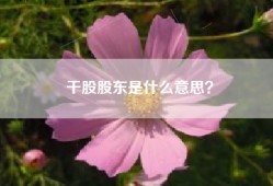 干股股东是什么意思？
