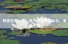 网贷名单一览，黑户网贷网贷平台，拿走不谢