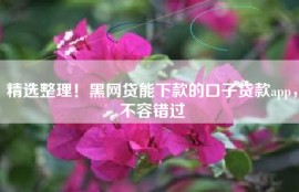 精选整理！黑网贷能下款的口子贷款app，不容错过