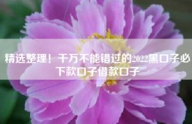 精选整理！千万不能错过的2022黑口子必下款口子借款口子
